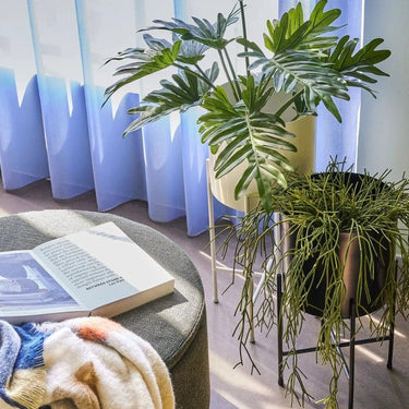 Witte Airy Pots (set van 2)