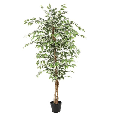 Kunstplant Ficus groen 160 cm
