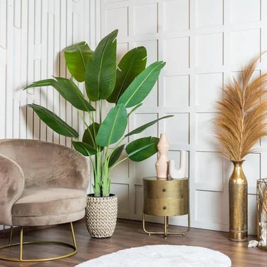 Kunstplant Strelitzia 180 cm